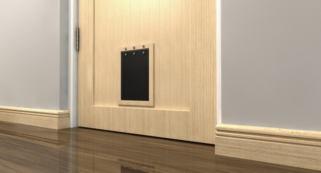 Cat Flap Installation Clapham, SW4