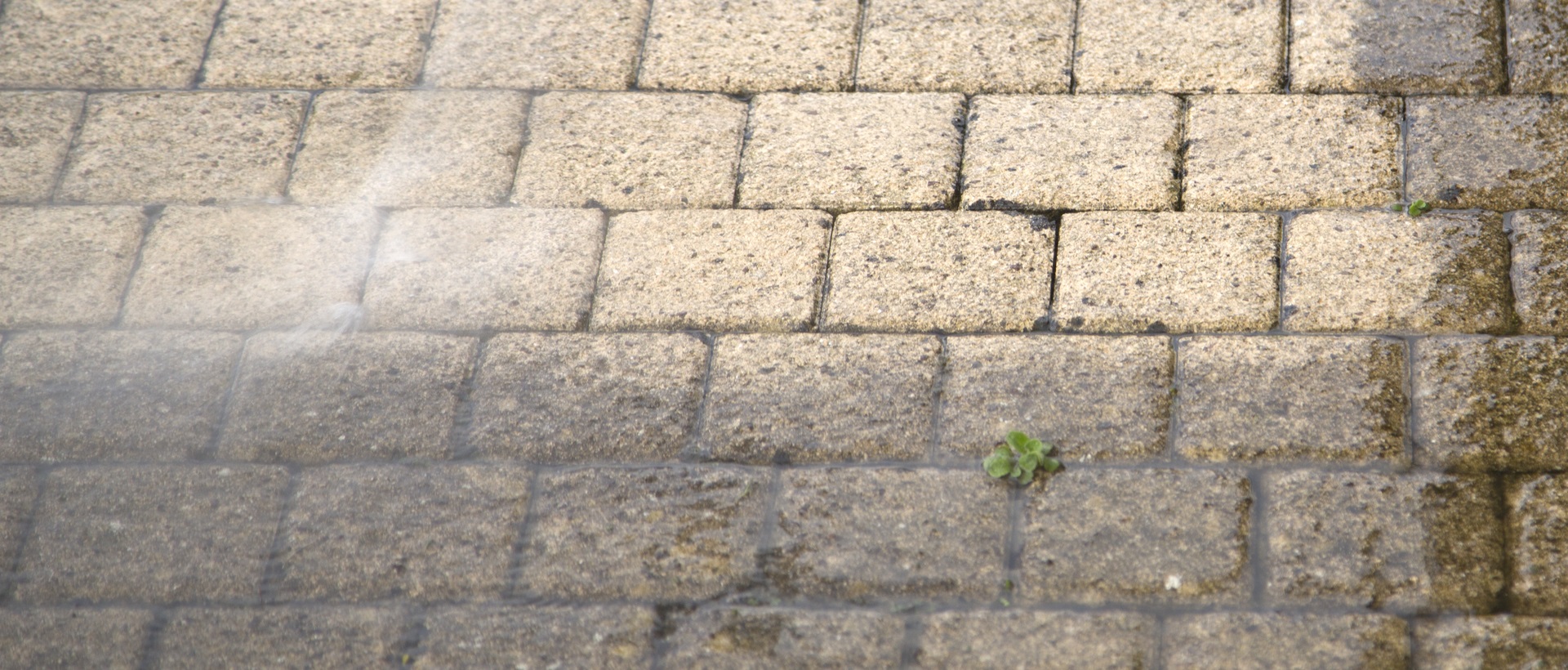 flagging and patios SW4